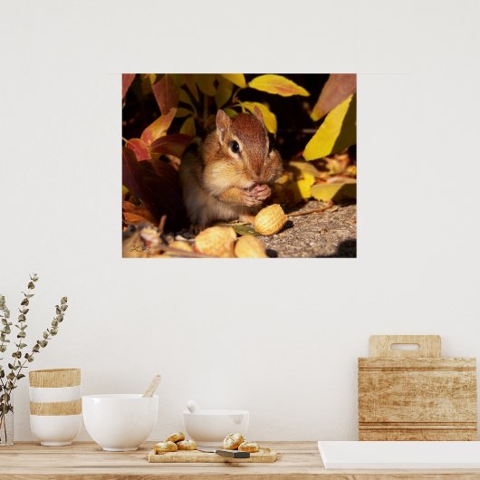 Poster Chipmunk - Imprimer (Cuisine)
