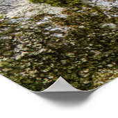 Poster Chipmunk on Patrol (Coin)