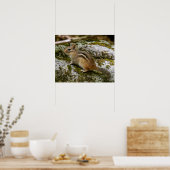 Poster Chipmunk on Patrol (Cuisine)