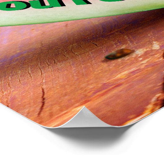 Poster Chipmunks mangeant de la pastèque (Coin)