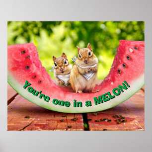 Poster Chipmunks mangeant de la pastèque
