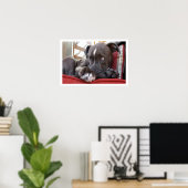 Poster Chipon mignon (Bureau à domicile)