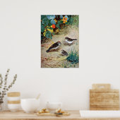Poster Chipping Sparrow Family and Nasturtiums (Cuisine)