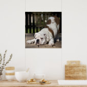Poster Chippon anglais Bulldog (Cuisine)