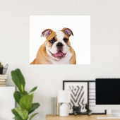 Poster Chippon anglais Bulldog (Bureau à domicile)