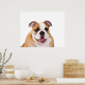 Poster Chippon anglais Bulldog (Cuisine)