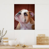 Poster Chippon anglais Bulldog (Cuisine)