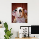 Poster Chippon anglais Bulldog (Bureau à domicile)