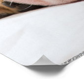 Poster Chippon anglais Bulldog (Coin)