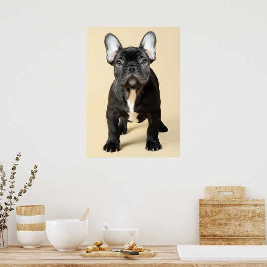 Poster Chippon français (Cuisine)