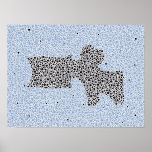 Poster Chiropractic Anatomy Artwork Lumbar Vertebrae