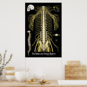 Poster Chiropratique de la colonne vertébrale et des nerf (Cuisine)