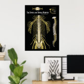 Poster Chiropratique de la colonne vertébrale et des nerf (Bureau à domicile)