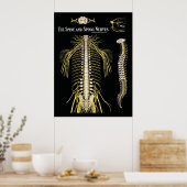 Poster Chiropratique de la colonne vertébrale et des nerf (Cuisine)