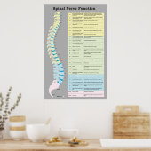 Poster Chiropratique de la fonction nerveux épiniè (Cuisine)