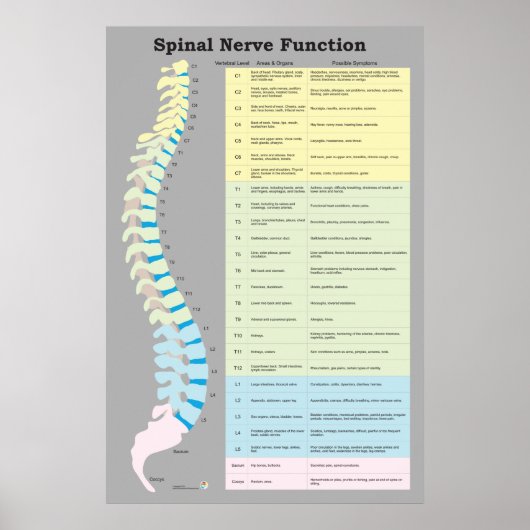 Poster Chiropratique de la fonction nerveux épiniè (Devant)