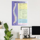 Poster Chiropratique de la fonction nerveux épiniè (Bureau à domicile)