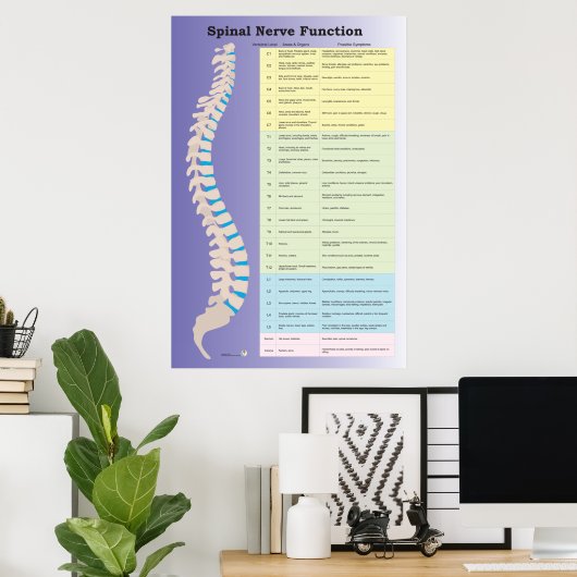 Poster Chiropratique de la fonction nerveux épiniè (Bureau à domicile)