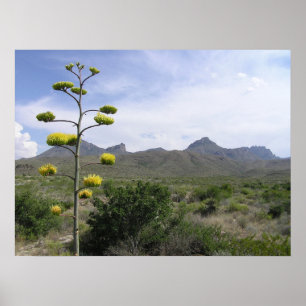 Poster Chisos Mountains - Big Bend, Texas