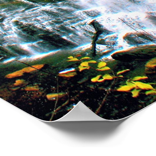 Poster Chittenango Falls State Park (Coin)