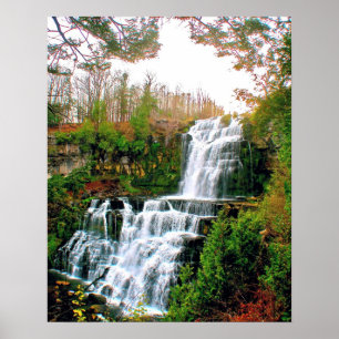 Poster Chittenango tombe état PAK