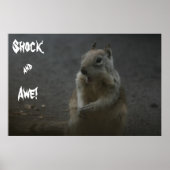 Poster Choc & Awe ! (Devant)