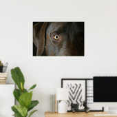 Poster Chocolade Lab Eyes (Thuiskantoor)