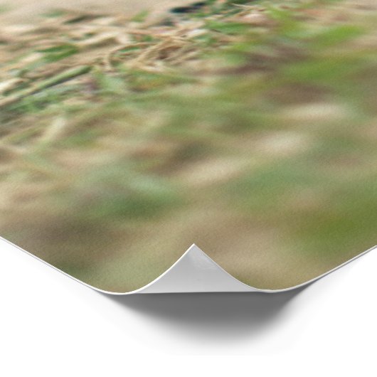 Poster Chocolat blanc (Coin)