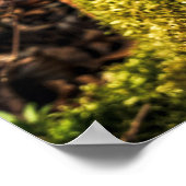 Poster Chocolat Corona Lapin de Pâques (Coin)