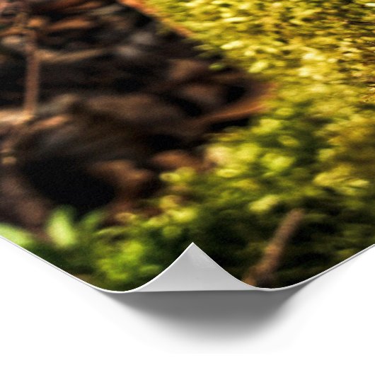 Poster Chocolat Corona Lapin de Pâques (Coin)