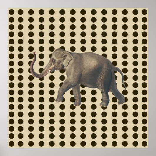 Poster Chocolat épice Moods Doses avec éléphant (Devant)