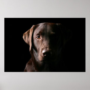 Poster Chocolat étonnant Labrador