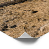 Poster Chocolat Grotte du Labrador sur le sentier foresti (Coin)