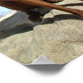 Poster Chocolat Lab Pit Mix Portrait de chien 6 (Coin)