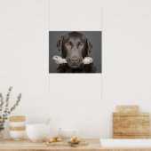 Poster Chocolat Labrador (Cuisine)