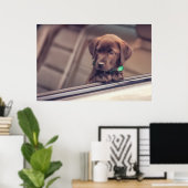 Poster Chocolat Labrador Chiot En Voiture (Bureau à domicile)
