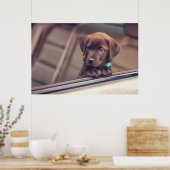 Poster Chocolat Labrador Chiot En Voiture (Cuisine)