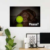 Poster Chocolat Labrador Puppy Avec Tennis Ball (Bureau à domicile)