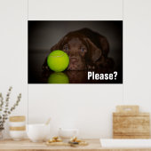 Poster Chocolat Labrador Puppy Avec Tennis Ball (Cuisine)
