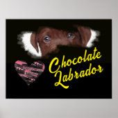 Poster Chocolat Labrador Yeux couleur solide (Devant)