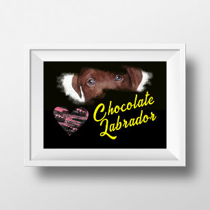 Poster Chocolat Labrador Yeux couleur solide