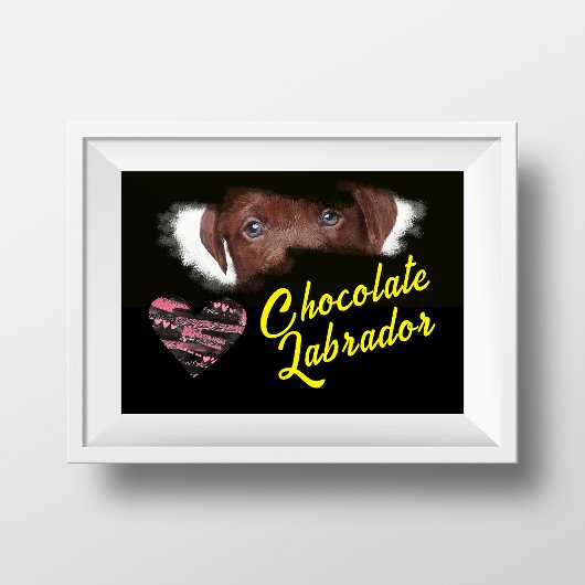 Poster Chocolat Labrador Yeux couleur solide