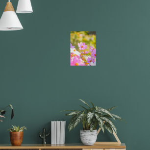Poster Chœur ensoleillé de rose