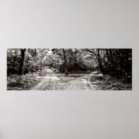 Poster Choices 36x12