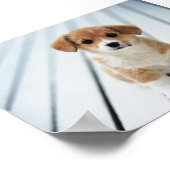 POSTER CHOISISSEZ SUR QUELQU'UN VOTRE TAILLE (Coin)