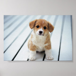 POSTER CHOISISSEZ SUR QUELQU'UN VOTRE TAILLE