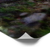 Poster Cholla brillante (Coin)