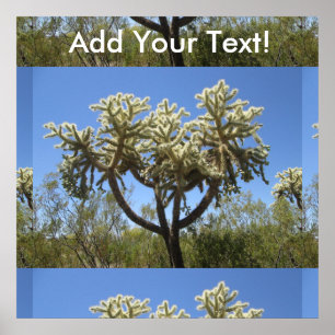 Poster Cholla Cactus
