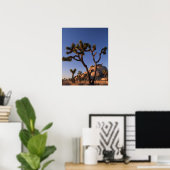 Poster Cholla cactus et Casquette Rock, Joshua Tree (Bureau à domicile)