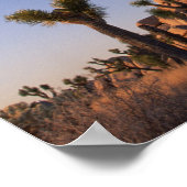 Poster Cholla cactus et Casquette Rock, Joshua Tree (Coin)